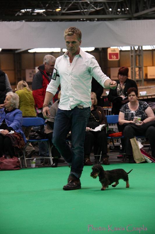 Crufts2011_2 1236.jpg